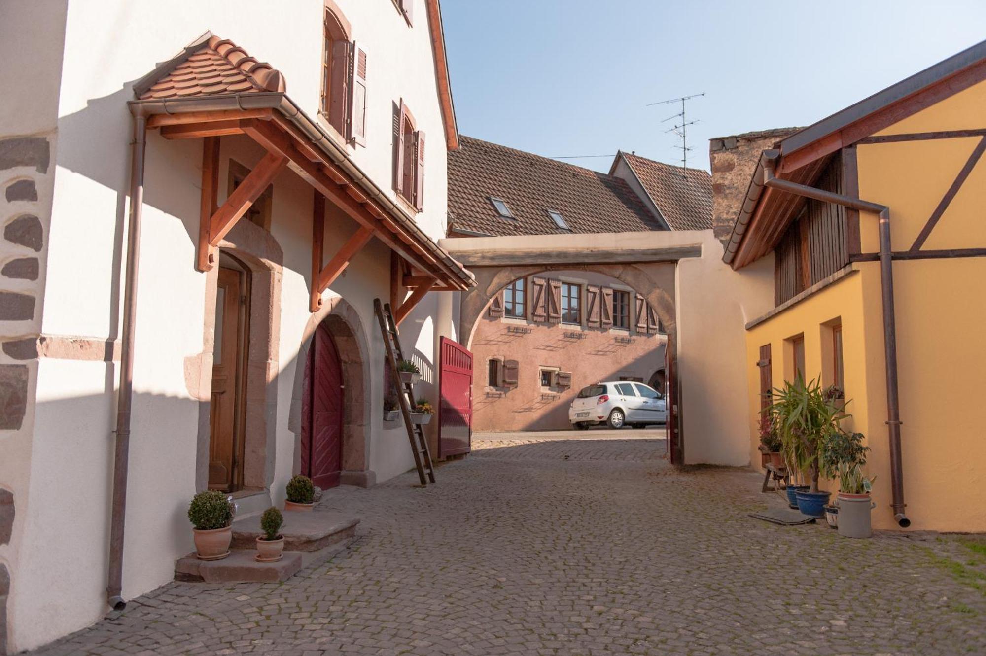 La Maison D'Emilie Pfaffenheim Bagian luar foto